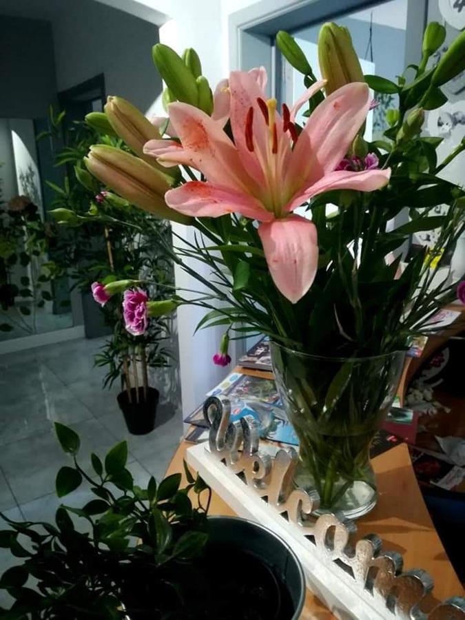 Villa Eden Basecles 외부 사진