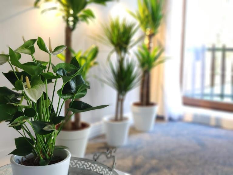 Villa Eden Basecles 외부 사진